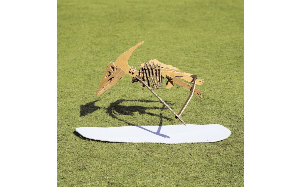 【Qumu】大型ダンボール骨格標本キット　プテラノドン