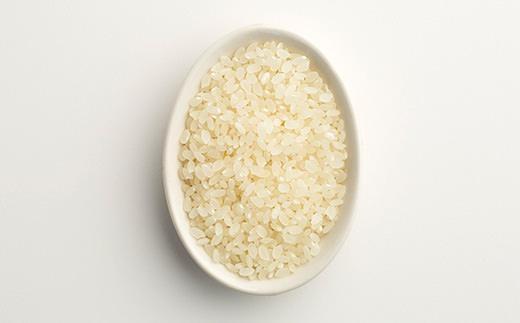 【令和7年産新米】中道農園 自然栽培 コシヒカリ 希 白米 10kg 肥料不使用、自然の力だけで栽培！農薬・化学肥料不使用｜JAS認証 オーガニック｜真空包装 防災備蓄対応｜ふるさと納税 滋賀県野洲市