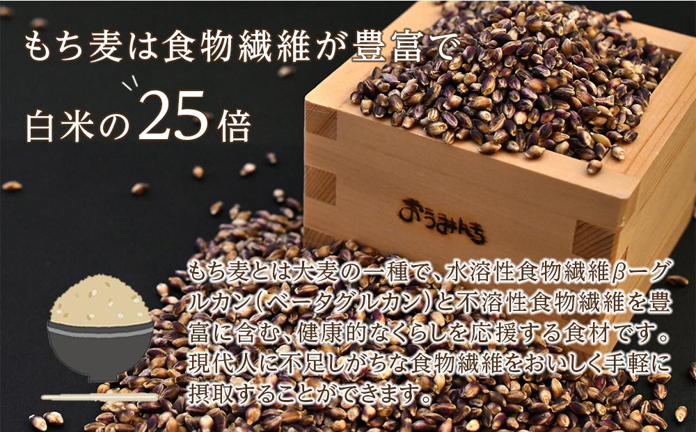 近江のもち麦１kg３袋｜野洲市 もち麦 滋賀産 健康食材 ダイエット ビタミン ミネラル 便秘解消 腸内環境 美容 健康志向 料理 レシピ お取り寄せ 通販 ふるさと納税 ｜