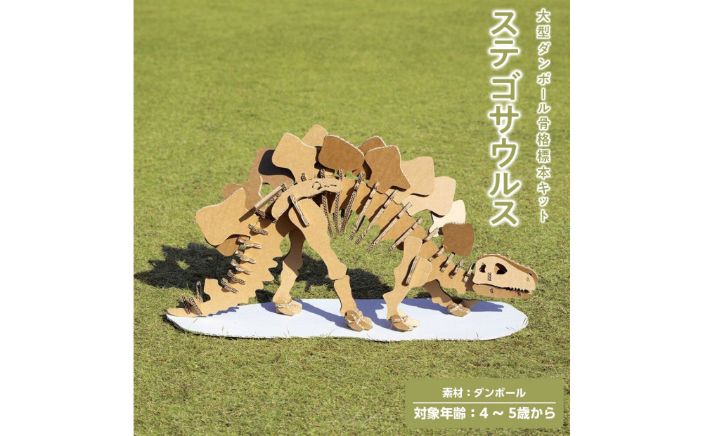 【Qumu】大型ダンボール骨格標本キット　ステゴサウルス