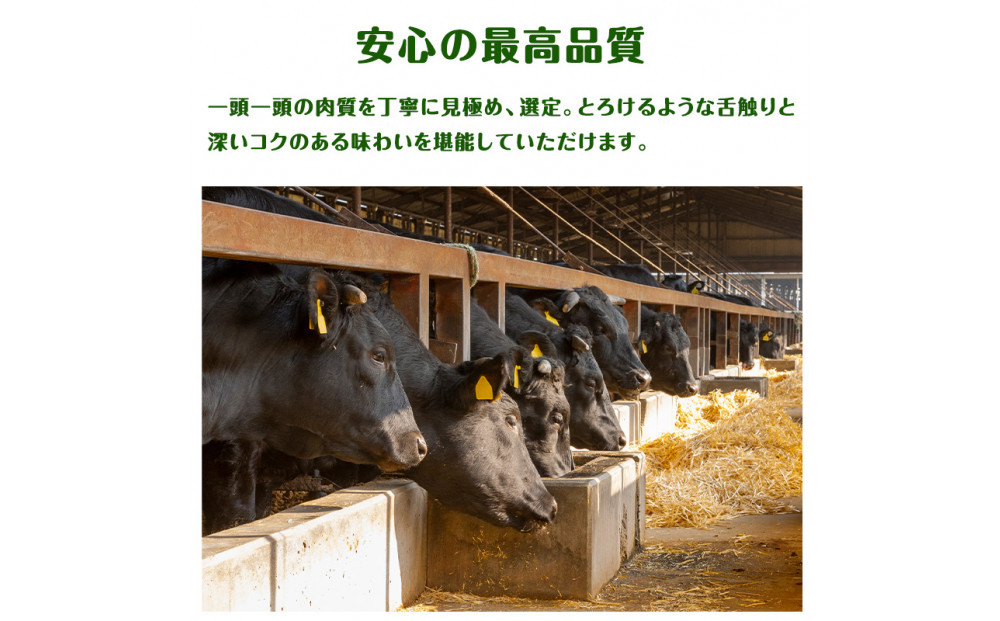 近江牛 ロース・赤身 焼肉用 食べ比べセット 計800ｇ（各400ｇ） 牛長商会 みんなのお肉本舗｜滋賀県野洲市 お取り寄せグルメ ご当地 ご当地グルメ 肉 お肉 にく 牛 牛肉 ビーフ 近江牛 和牛  ロース 赤身 焼肉 食べ比べ｜