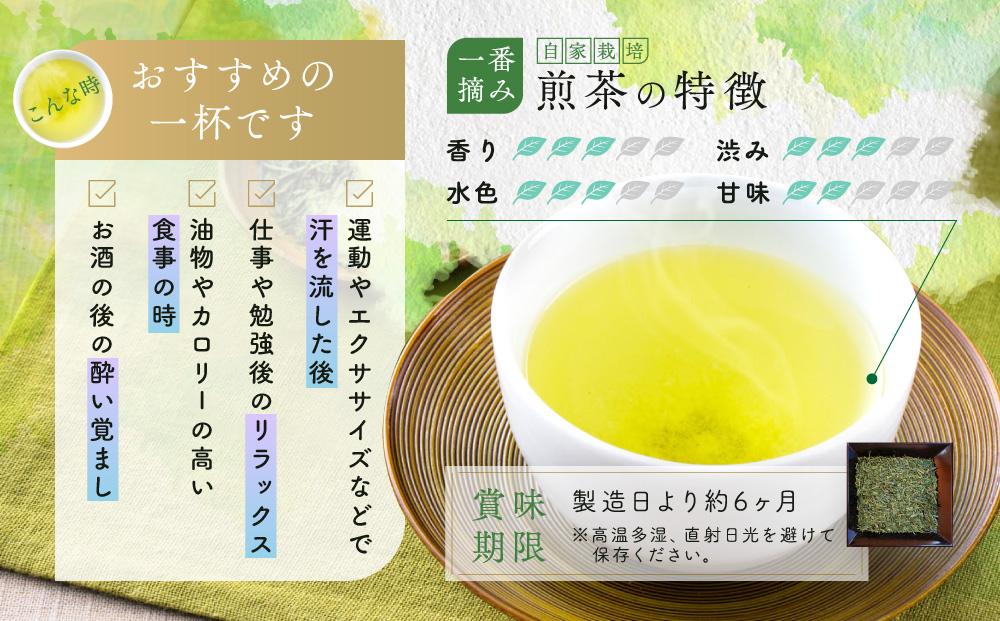 野洲生まれ　野洲育ち自家栽培　一番摘み煎茶120g　5本セット