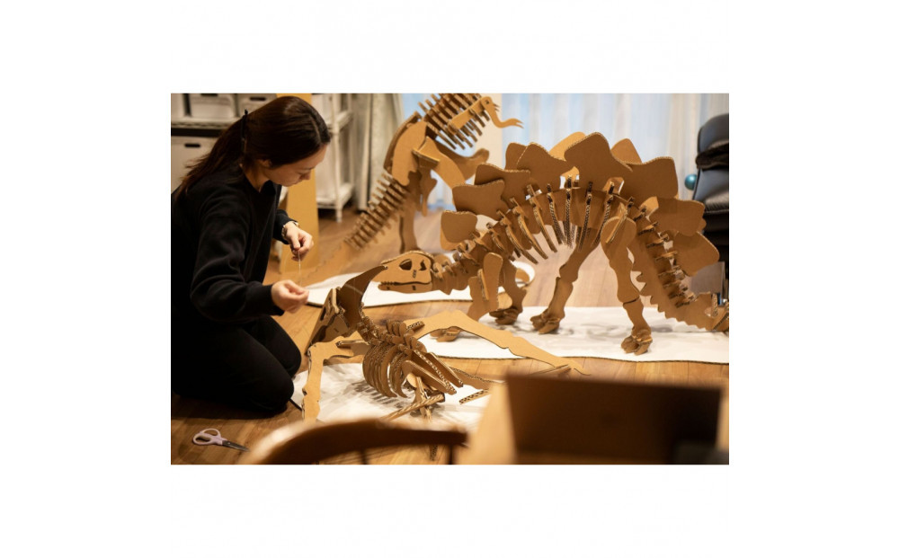 【Qumu】大型ダンボール骨格標本キット　ステゴサウルス