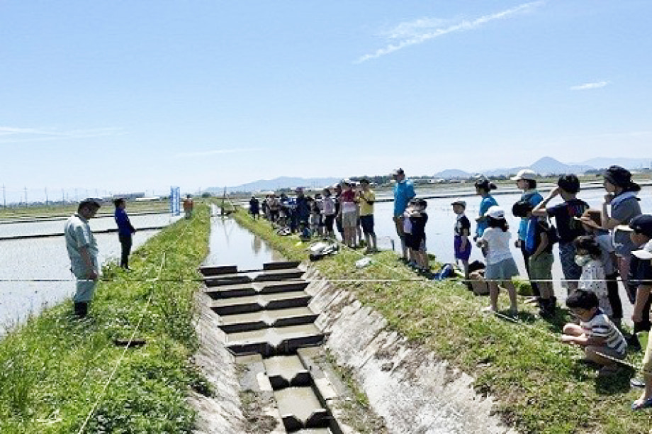  山、川、琵琶湖等の豊かで良好な自然環境を保全し、次世代に引き継ぐための事業（環境）