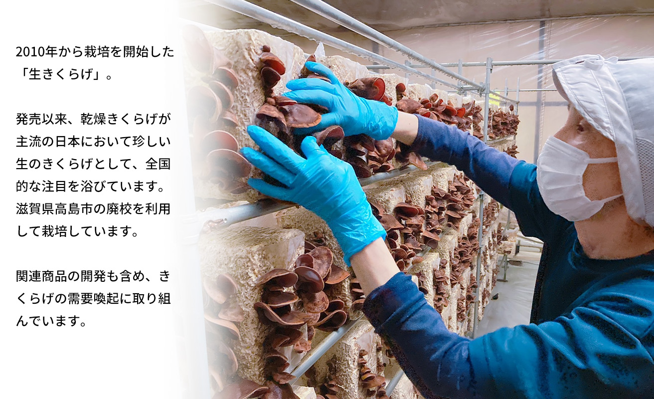 【D-711】共栄精密　淡海きのこ　じゅんじゅん鍋セット（オリジナルレシピ付き）よかもんパッケージ入り［高島屋選定品］