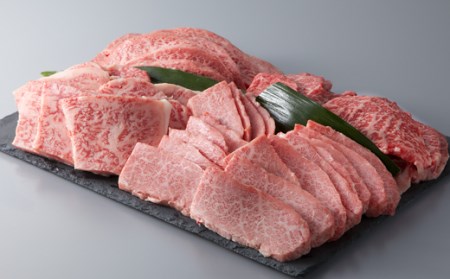 縲植-039縲大、ァ蜷牙膚蠎 霑第ア溽央繧ウ繝シ繧ケシ磯貞ク莨夲シ薙き譛茨シ会シ、 シサ鬮伜ウカ螻矩∈螳壼刀シス