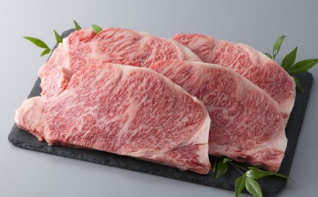 縲植-035縲大、ァ蜷牙膚蠎 霑第ア溽央繧ウ繝シ繧ケシ磯貞ク莨夲シ薙き譛茨シ会シ「 シサ鬮伜ウカ螻矩∈螳壼刀シス