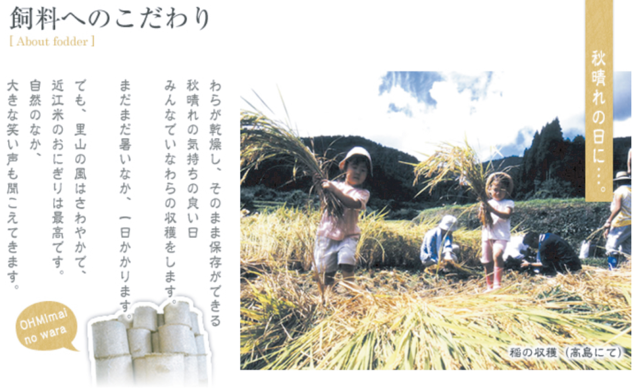 【A-050】大吉商店　近江牛 手切りヒレすき焼きセット　200g×2／計400g 　わりした付き【高島屋選定品】