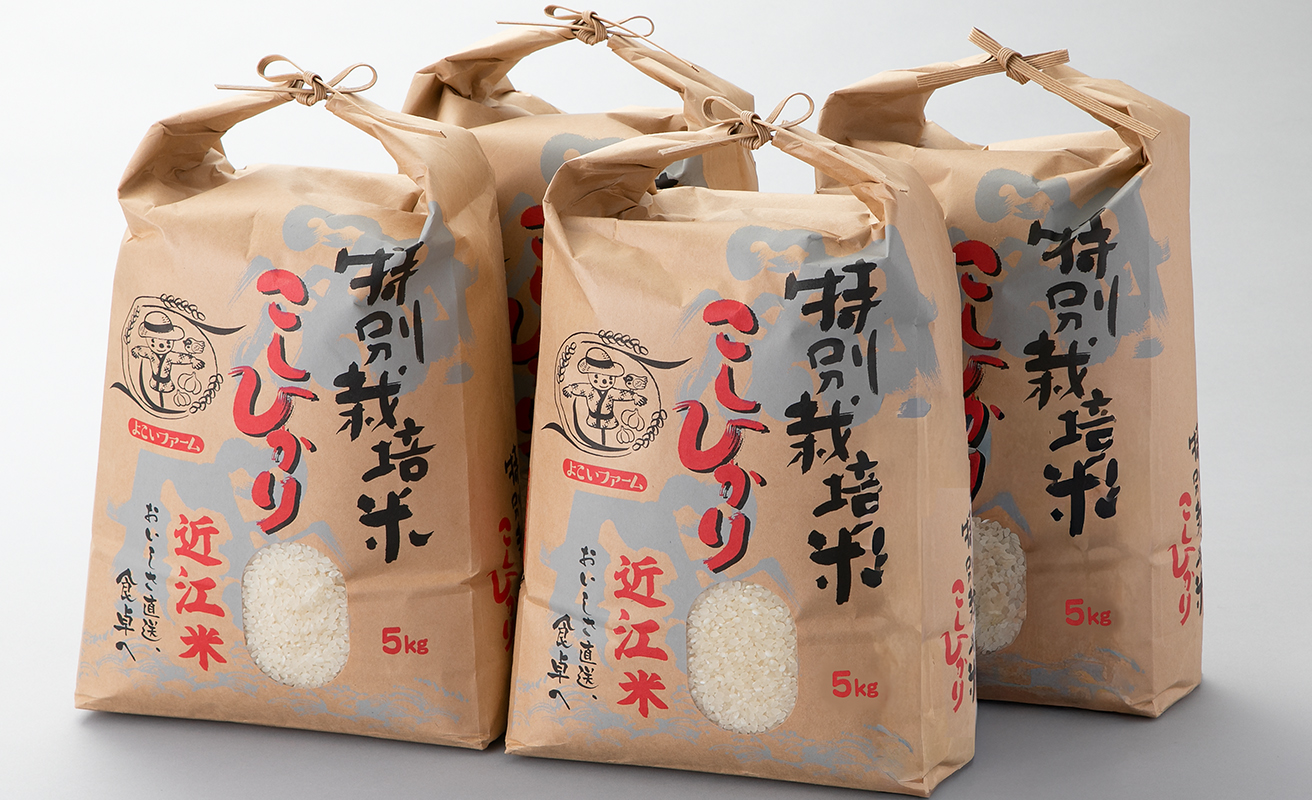 【C-547】よこいファーム 特別栽培米コシヒカリＢ　20kg（5kg×4） ［高島屋選定品］