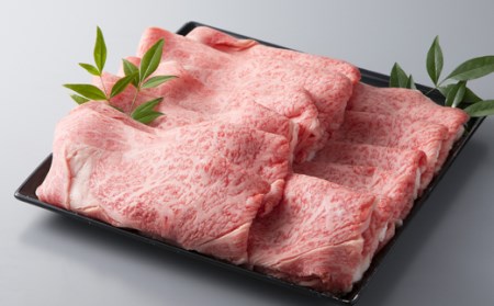 縲植-035縲大、ァ蜷牙膚蠎 霑第ア溽央繧ウ繝シ繧ケシ磯貞ク莨夲シ薙き譛茨シ会シ「 シサ鬮伜ウカ螻矩∈螳壼刀シス