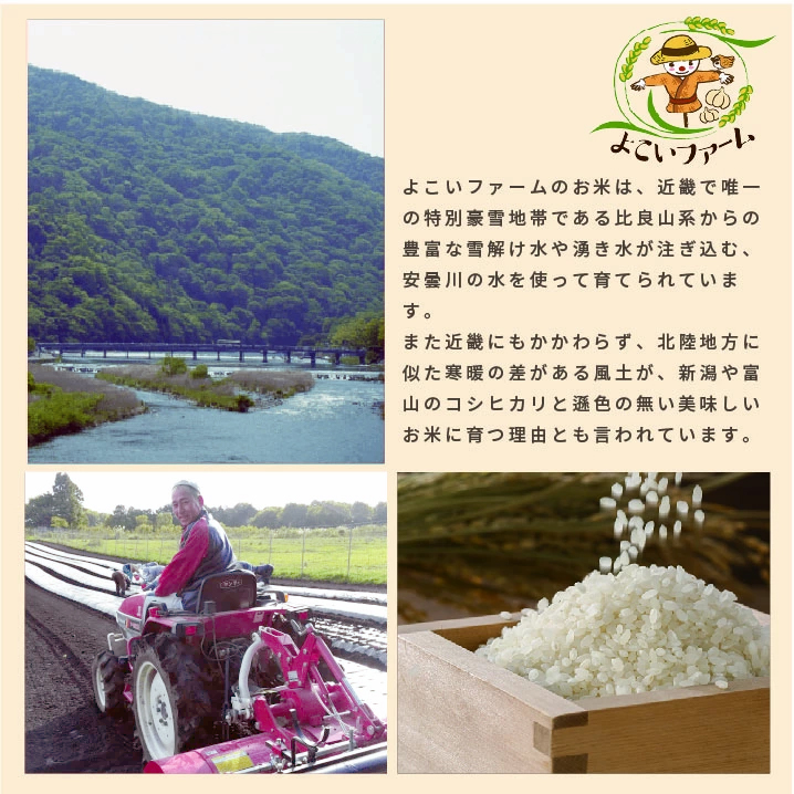 【C-547】よこいファーム 特別栽培米コシヒカリＢ　20kg（5kg×4） ［高島屋選定品］