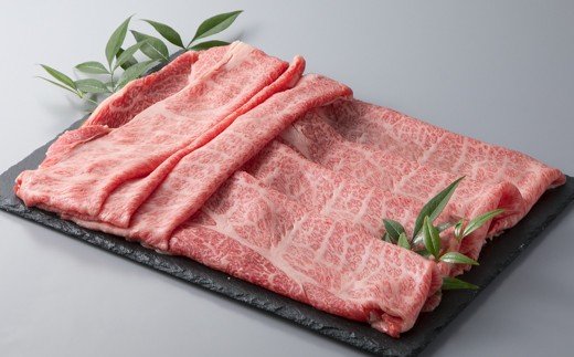 縲植-033縲大、ァ蜷牙膚蠎 霑第ア溽央繧ウ繝シ繧ケシ磯貞ク莨夲シ薙き譛茨シ会シ。 シサ鬮伜ウカ螻矩∈螳壼刀シス