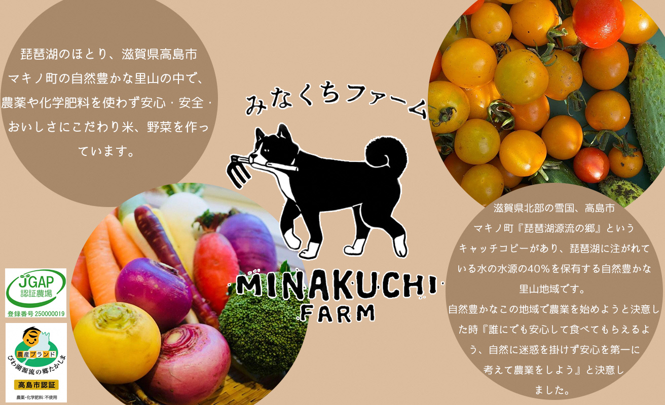 縲燭-104縲代∩縺ェ縺上■繝輔ぃ繝シ繝縲繧ェ繝シ繧ャ繝九ャ繧ッ繧ゅ■邀ウ縲貊玖ウ鄒ス莠碁咲ウッ縲譛画ゥ溘b縺。邊セ邀ウ縲300gシ2蜷)テ10蛟具シサ鬮伜ウカ螻矩∈螳壼刀シス