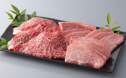 縲植-033縲大、ァ蜷牙膚蠎 霑第ア溽央繧ウ繝シ繧ケシ磯貞ク莨夲シ薙き譛茨シ会シ。 シサ鬮伜ウカ螻矩∈螳壼刀シス