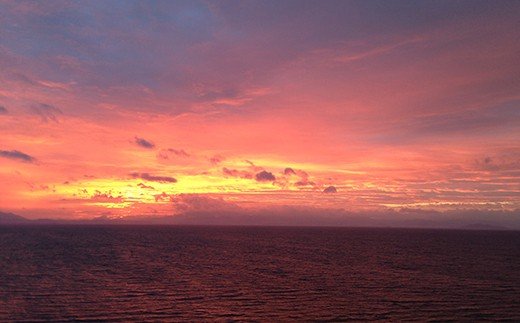 ãM-483ã仿ޥãµã³ããªããžããã« ã¬ã€ã¯ãã¥ãŒãã€ã³ã«ãŒã æé£ä»ããã¢å®¿æ³ãã©ã³ é«å³¶å±éžå®å