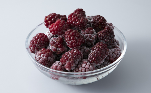 【H-185】はなつむぎベリーファーム　アドベリー冷凍果実(300g×6)［高島屋選定品］