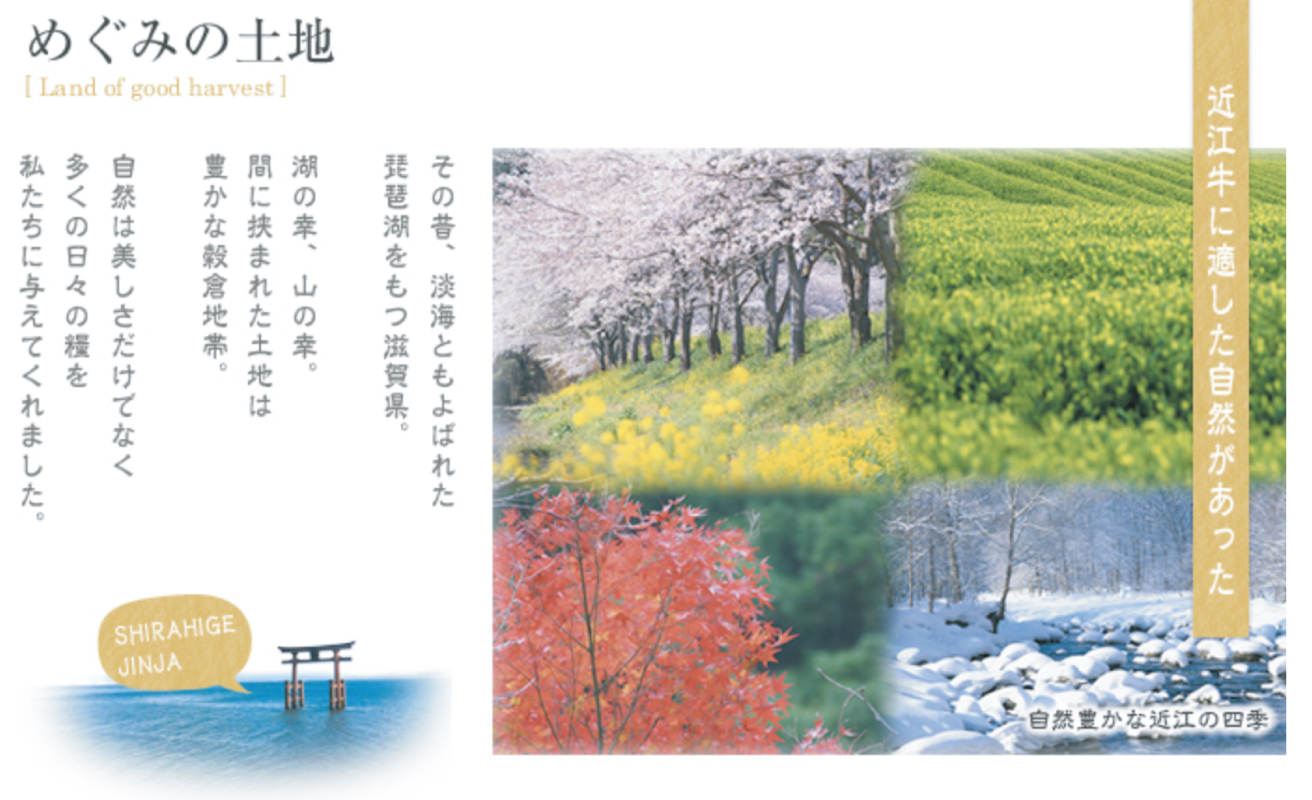 【A-050】大吉商店　近江牛 手切りヒレすき焼きセット　200g×2／計400g 　わりした付き【高島屋選定品】