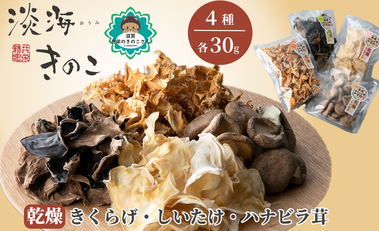【D-710】共栄精密　淡海きのこ　乾燥きのこセット 乾燥きくらげ・乾燥しいたけ・乾燥ハナビラ茸（よかもんパッケージ入り）［高島屋選定品］
