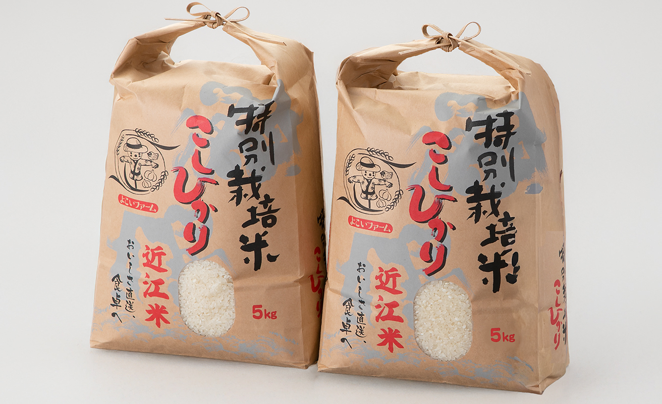【C-546】よこいファーム 特別栽培米コシヒカリＡ　10kg（5kg×2） ［高島屋選定品］