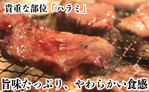 【A-353】宝牧場 近江牛 ハラミ焼肉用 500ｇ［高島屋選定品］