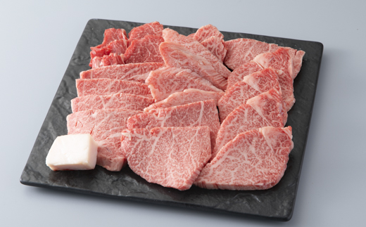 【A-341】 宝牧場 近江牛ヒレ焼肉用 500g［高島屋選定品］
