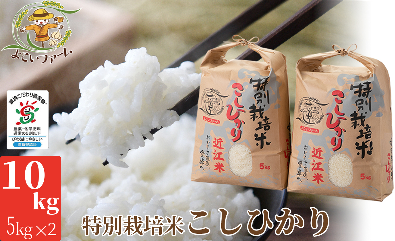 【C-546】よこいファーム 特別栽培米コシヒカリＡ　10kg（5kg×2） ［高島屋選定品］