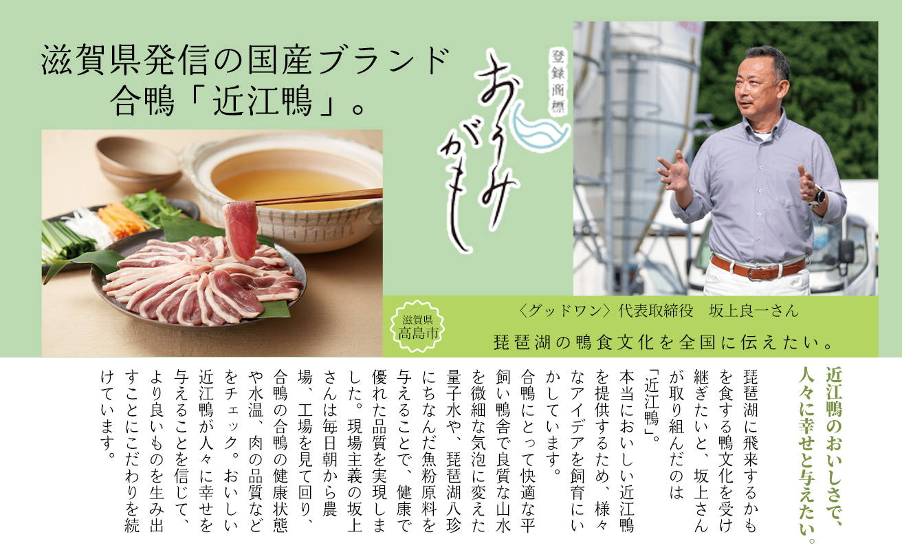 ãA-245ãæ ªåŒäŒç€Ÿã°ããã¯ã³ãè¿æ±éŽš ããã¶ããã¶çšïŒ4ã6人åïŒãé«å³¶å±éžå®åã