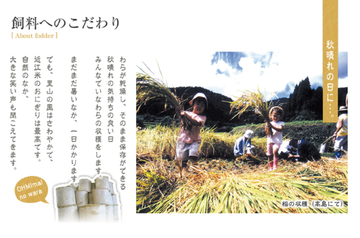 【A-221】大吉商店 近江牛和風ローストビーフブロック　モモ　300g［高島屋選定品］