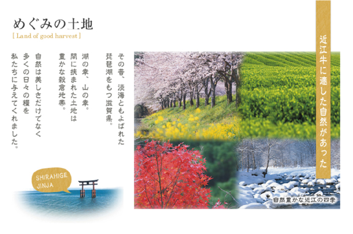 縲植-035縲大、ァ蜷牙膚蠎 霑第ア溽央繧ウ繝シ繧ケシ磯貞ク莨夲シ薙き譛茨シ会シ「 シサ鬮伜ウカ螻矩∈螳壼刀シス