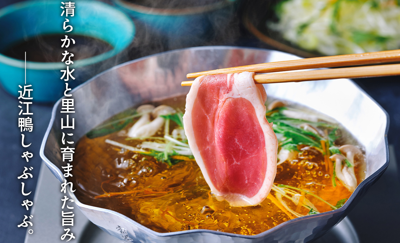 ãA-245ãæ ªåŒäŒç€Ÿã°ããã¯ã³ãè¿æ±éŽš ããã¶ããã¶çšïŒ4ã6人åïŒãé«å³¶å±éžå®åã