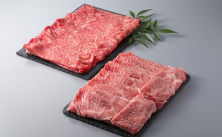 縲植-039縲大、ァ蜷牙膚蠎 霑第ア溽央繧ウ繝シ繧ケシ磯貞ク莨夲シ薙き譛茨シ会シ、 シサ鬮伜ウカ螻矩∈螳壼刀シス