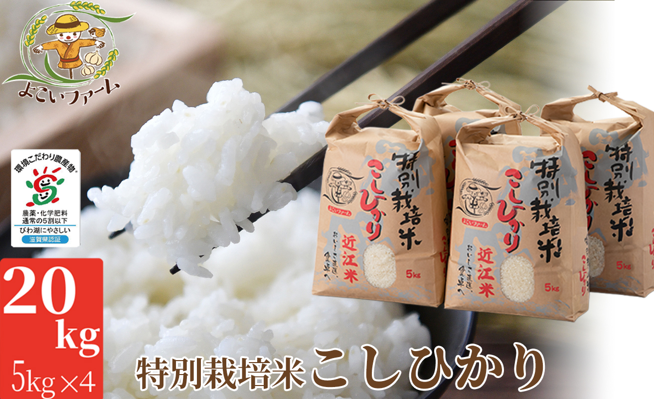 【C-547】よこいファーム 特別栽培米コシヒカリＢ　20kg（5kg×4） ［高島屋選定品］