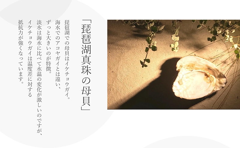 ピアス 琵琶パール 一粒 スタッズ ハンドメイド アクセサリー パールピアス 滋賀県 米原市