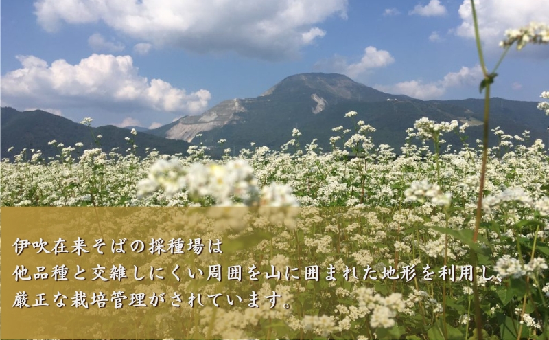 麺工房 伊吹長兵衛の伊吹在来そば 十割伊吹そば 更科風 つゆ付6人前セット（1箱200g×３箱）