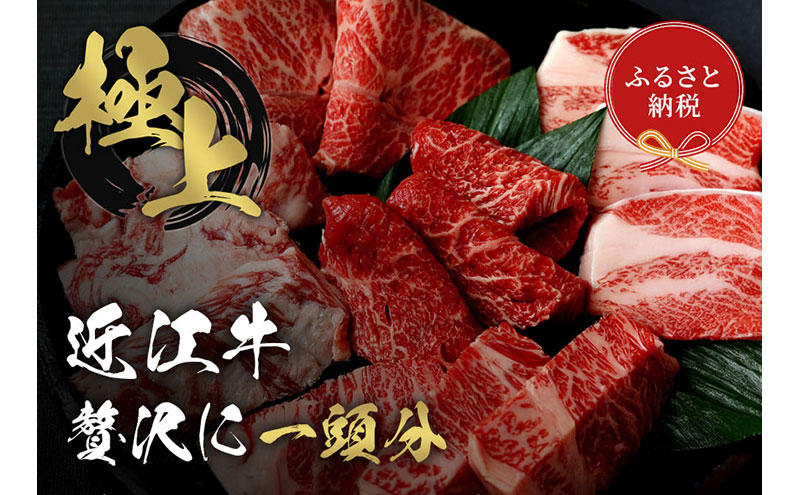 【和牛セレブ】 近江牛 1頭分買い （24分割配送）毎月1回×24か月連続配送