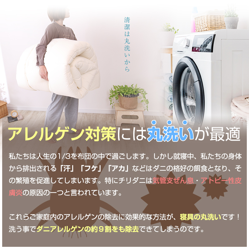 アラエマックス　ダクロン洗える肌布団　シングル(araeru-0009)