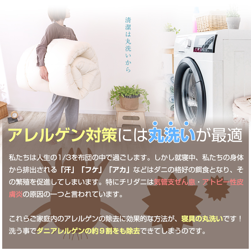 アラエマックス　ダクロン洗える2枚合わせ掛布団　ジュニア(araj-0008)