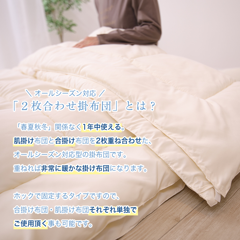 アラエマックス　ダクロン洗える2枚合わせ掛布団　セミダブル(araeru-0039)