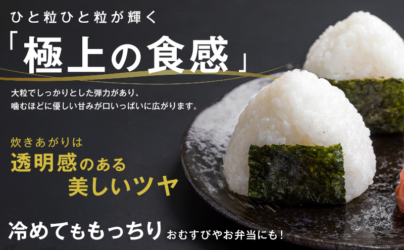 らぷれ農園のきらみずき精米5kg（農薬不使用米）　栽培期間中 農薬不使用　米 お米 ご飯 ごはん 精米 滋賀県
