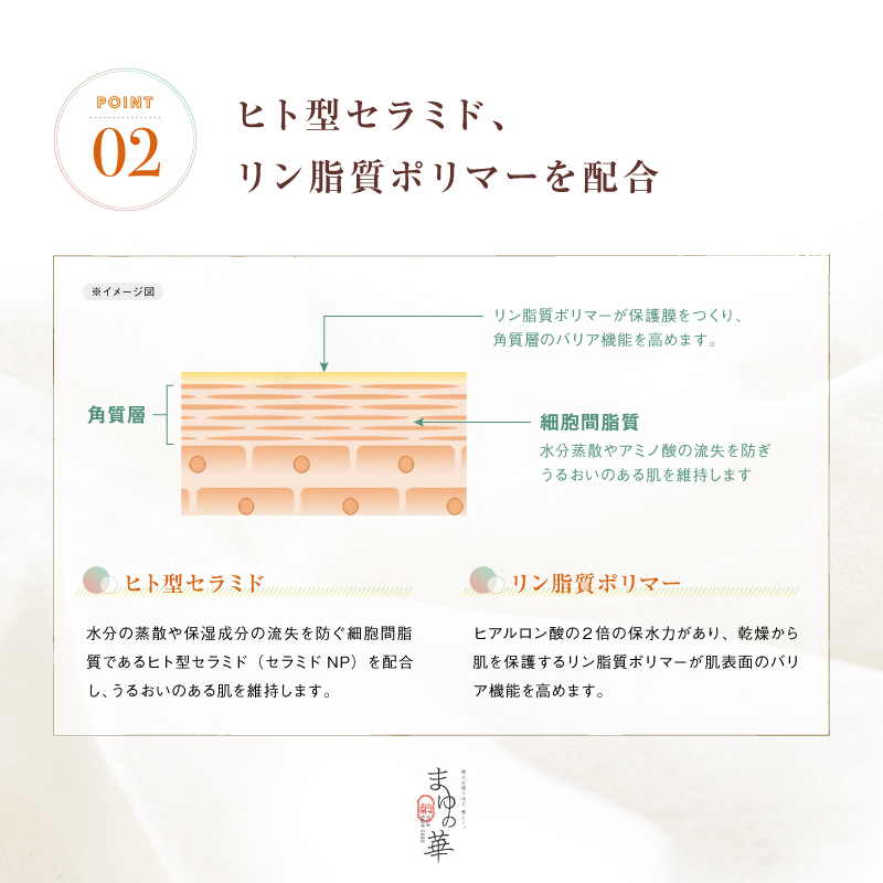 縲後∪繧縺ョ闖ッ縲蝓コ遉主喧邊ァ蜩4轤ケ繧サ繝繝医催1繧サ繝繝 | 蛹也イァ豌エ 蛹也イァ 鄒主ョケ 繧ケ繧ュ繝ウ繧ア繧「 閧 縺願l 菫晄ケソ 繧ア繧「