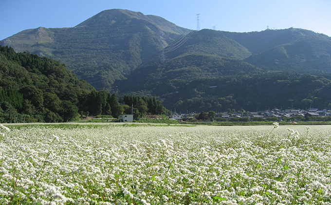 譌・譛ャ縺昴ー逋コ逾・縲陂縺」縺溷惠譚・遞ョ縲後>縺カ縺阪◎縺ー縲6莠コ蛻 阨朱コヲ 鮗コ鬘 荵セ鮗コ 莨雁聖縺昴ー