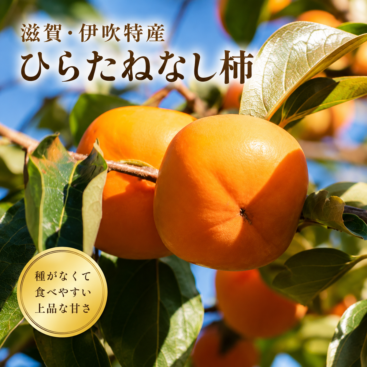 滋賀・伊吹特産ひらたねなし柿（炭酸脱渋）L寸柿 約7.5kg