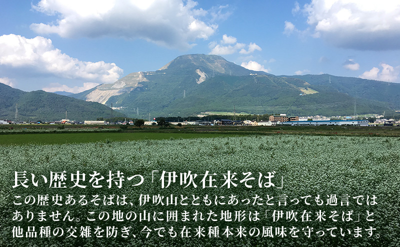 伊吹久次郎そば 6人前 つゆ付 半生蕎麦 麺類 