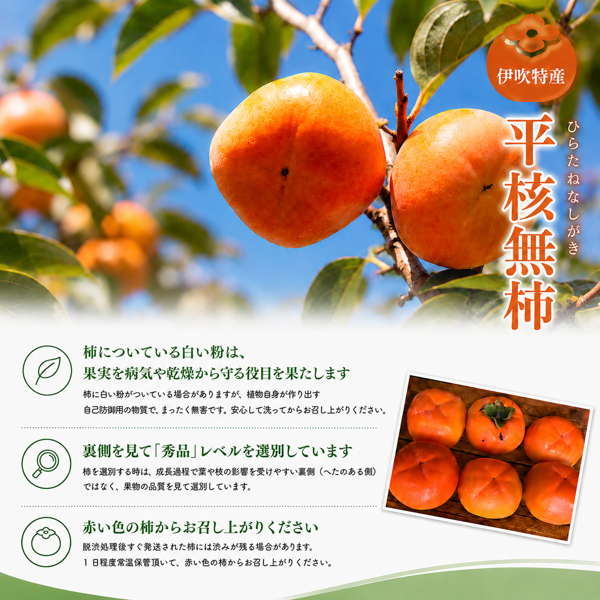 滋賀・伊吹特産ひらたねなし柿（炭酸脱渋）L寸柿 約7.5kg