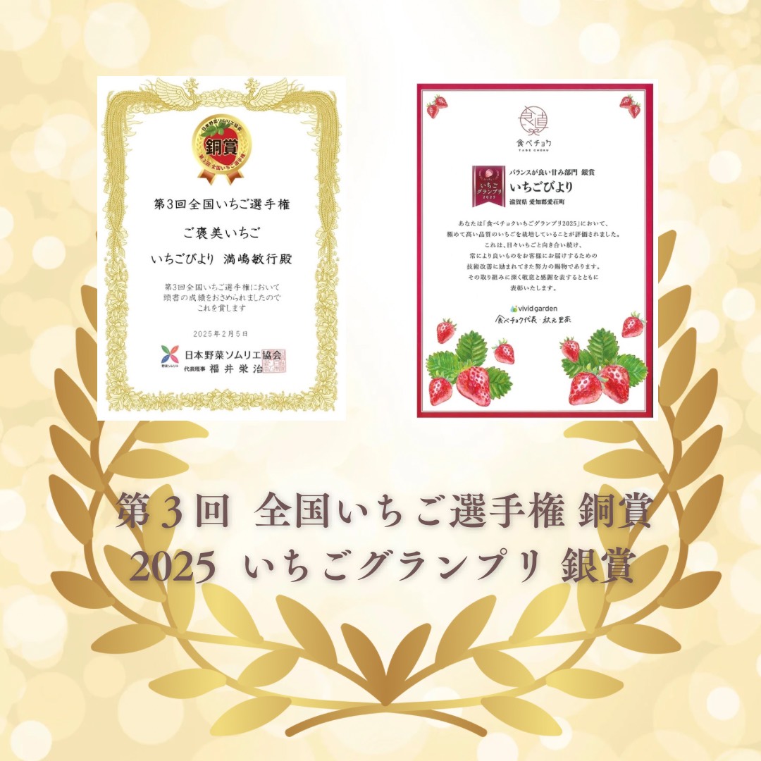 æ»è³çæèçºç£ããã¡ããèŽ
æ²¢ã«äœ¿ã£ãæ¿åãã¡ãã®ãè€çŸiceãåžå°åçš®é»ãã¡ãã®ãççŽ
ã®çŸéŽãœã«ããæ»è³çãªãªãžãã«ãã¡ãã®ãã¿ãããããžã§ã©ãŒããïŒåã»ããïŒåïŒåïŒ BJ08