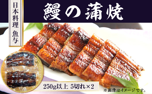 日本料理 魚与 鰻の蒲焼　うなぎ 鰻 蒲焼き　BE03