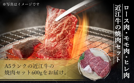 近江牛 焼肉 セット 600ｇ　牛肉 和牛 黒毛和牛 国産　AI29