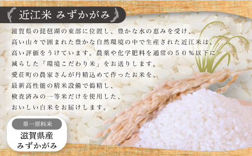 近江米　みずかがみ　白米5kg　令和5年産 BD07	