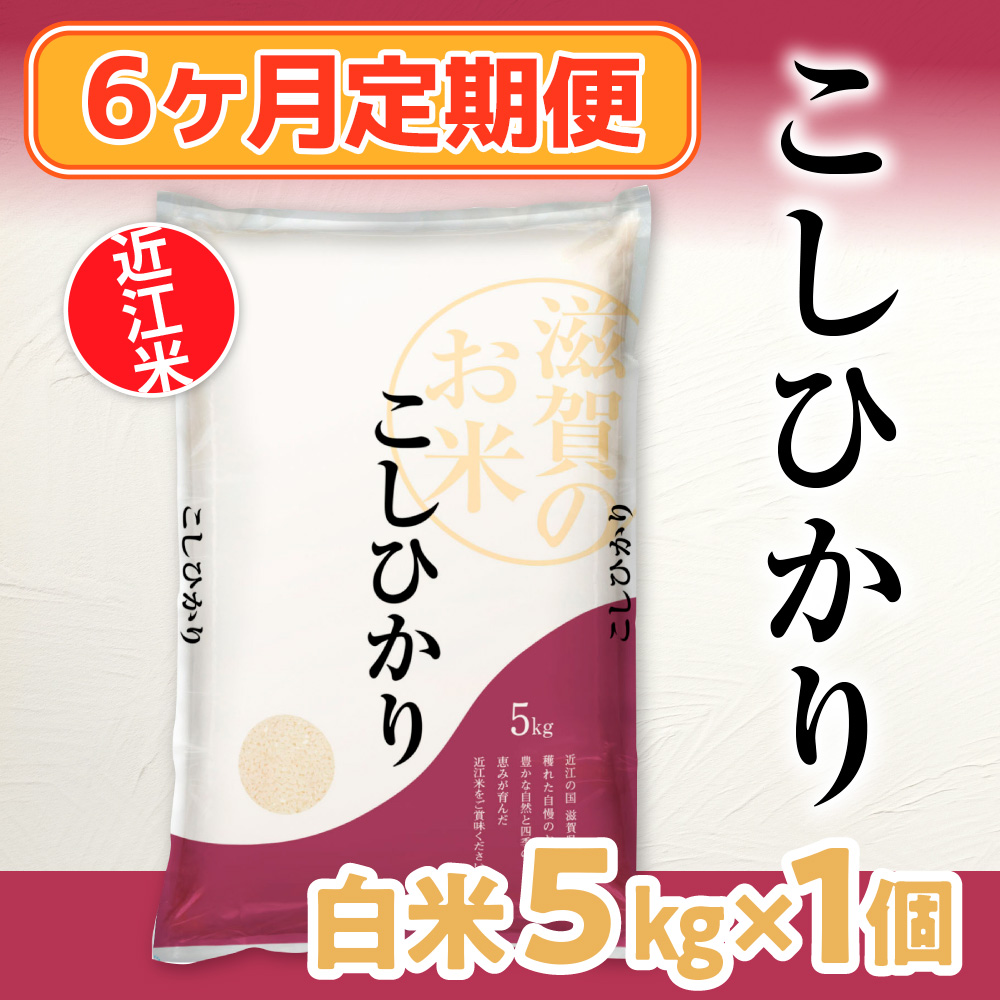 6ヶ月定期便 近江米 こしひかり 白米５kg  BD16