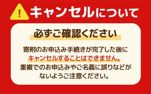 純国産　ミニ トートバッグ　生成り（ブラック）　帆布　BI001-5